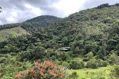 Cloud forests | Environmental Sciences | Research Starters - EBSCO - raincitystudios.com