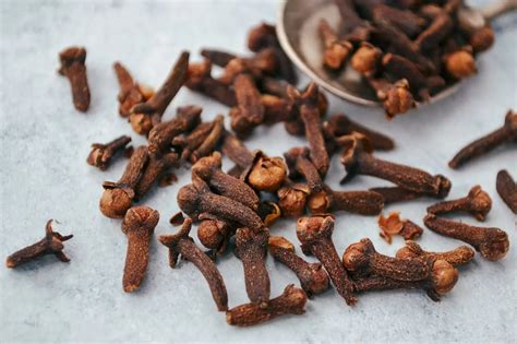 Cloves & Colonialisation: How A Spice Rewrote The … - wintechmobiles.com