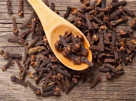 Cloves (ambition vs. monopoly) - 5 Indian spices that attracted the ... - wintechmobiles.com