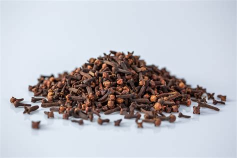 cloves - Occidental College - wintechmobiles.com