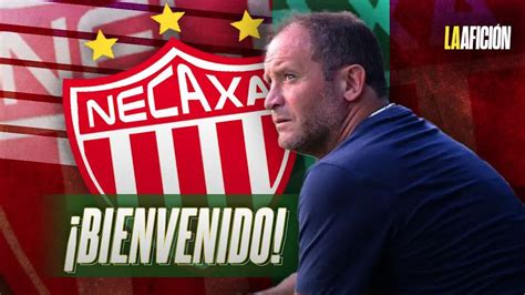 Club Necaxa Noticias, Resultados y Estadísticas - SI Futbol - muktibox.com