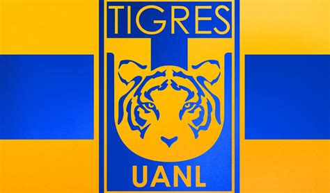 Club Tigres - muktibox.com