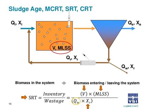 CN115557599A - Method for accurately controlling dynamic sludge age …