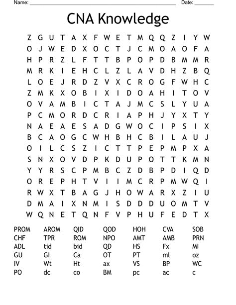 CNA Class Worksheet WordMint