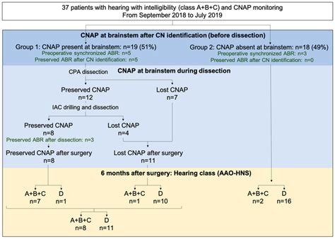 CNAP Manual