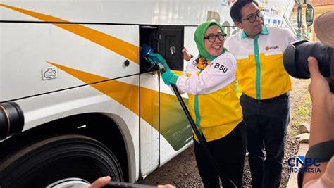 CNBC INDO bus ML & adegan laga intens akses cepat cewek telanjang penyembuh energi reiki 127 image 1