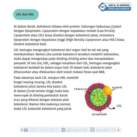 cni bogor - elchoricharrua.com