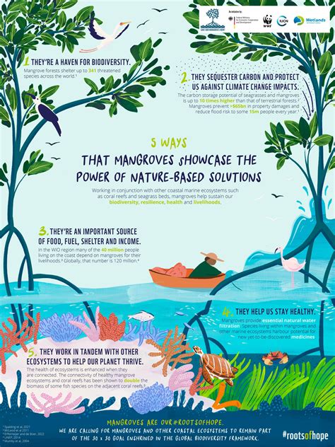 Co-benefits of protecting mangroves for biodiversity ... - Nature - muktibox.com