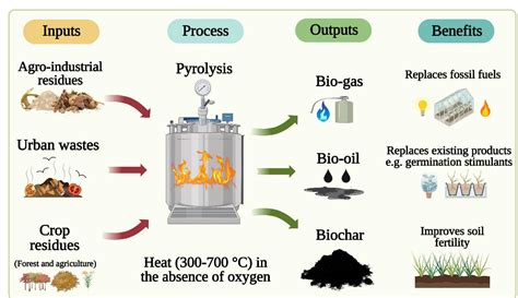 Co-pyrolysis of agricultural biomass for potentially functional biochar ... - raincitystudios.com