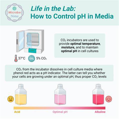 CO2-Based pH Control & Neutralization Systems - raincitystudios.com