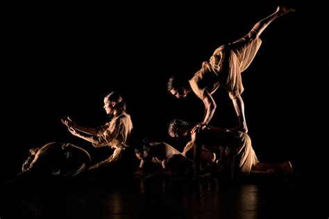 Co3 Contemporary Dance - WA's leading contemporary … - muktibox.com