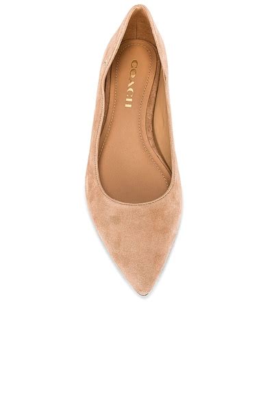 COACH Vierra Pointed-Toe Flats in Beechwood Suede