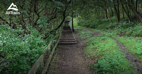 Coalville Forest Adventure Park - National Forest - raincitystudios.com
