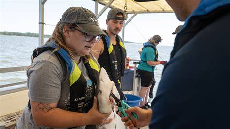 Coastal and Marine System Science Program - raincitystudios.com