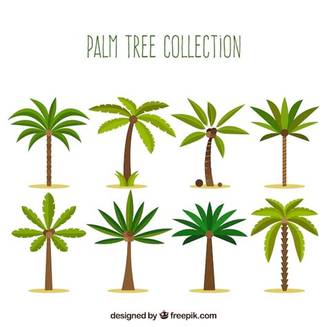 COASTAL COLLECTION PALM TREES FLAT SHEET ONLY