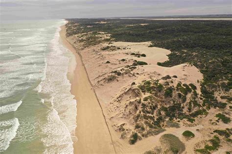 Coastal dunes - resources.education.nsw.gov.au - wintechmobiles.com