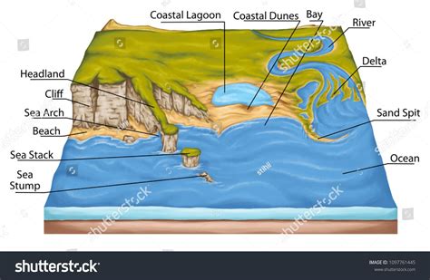 Coastal Landforms: Definition, Types & Examples | StudySmarter - wintechmobiles.com