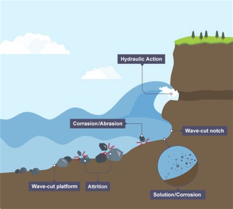 Coastal Processes: Types, Effects & Examples | StudySmarter - wintechmobiles.com