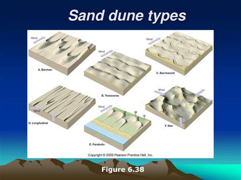 Coastal sand dunes as geomorphological systems - wintechmobiles.com