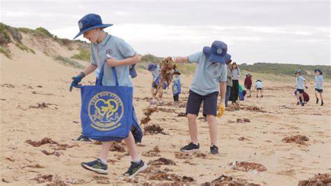 Coastcare Victoria Schools Kit - Marine and coasts - raincitystudios.com