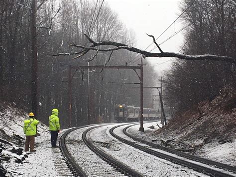 COASTER train service halted due to fallen tree on tracks