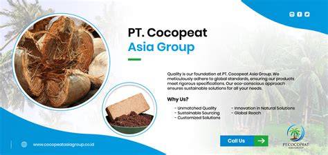 Coco Coir – PT. Cocopeat Asia Group - raincitystudios.com