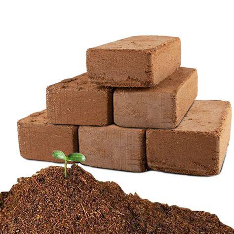 Coco Coir Brick For Plants - 2 Pack Premium 100% Organic Coconut Coir ... - raincitystudios.com