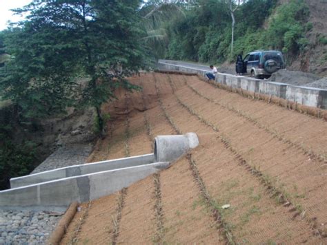 Coconet Bio-engineering - Slope Erosion Control - raincitystudios.com