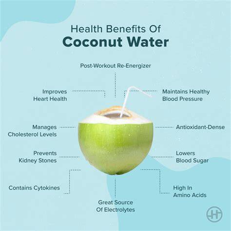 CocoNet Bio-Engineering Standards | PDF | Coconut | Soil - raincitystudios.com