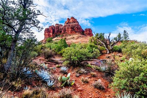 Coconino National Forest - Recreation Opportunities - raincitystudios.com