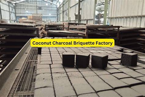 COCONUT CHARCOAL BRIQUETTE FACTORY - raincitystudios.com
