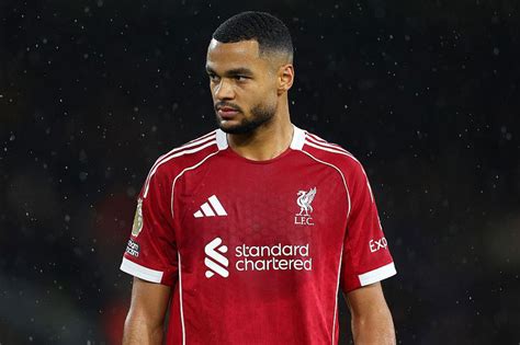 Cody Gakpo faces extended spell on sidelines as Arne Slot details ... - muktibox.com