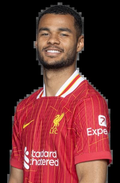 Cody Gakpo Liverpool Forward, Profile & Stats | Premier League - muktibox.com