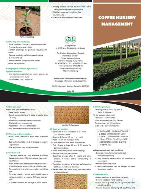 COFFEE NURSERY MANAGEMENT - cdn2.assets-servd.host - raincitystudios.com