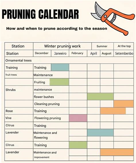 Coffeenet Pruning Cycle Plan | PDF | Pruning | Trees - raincitystudios.com