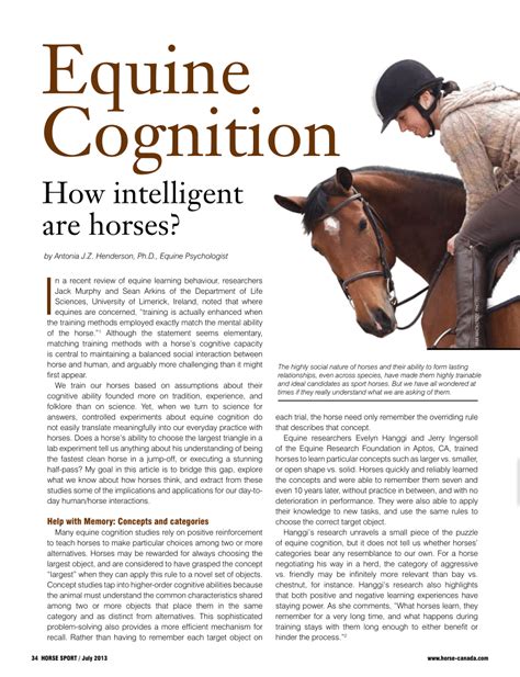 Cognition and learning in horses - ScienceDirect - muktibox.com