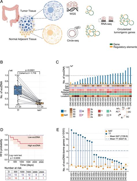 Cohen's d for Paired Samples | Real Statistics Using Excel - wintechmobiles.com