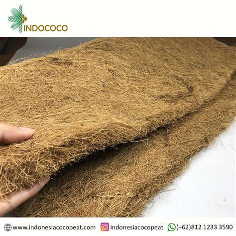 Coir: One of the Strongest Natural Fibers - raincitystudios.com