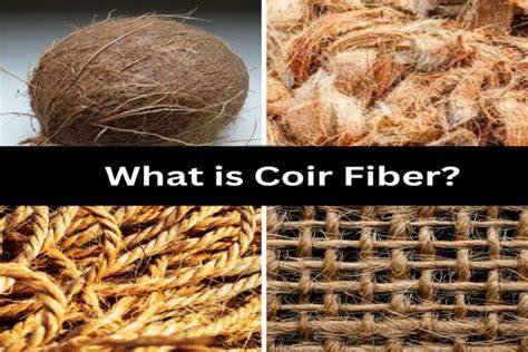 Coir Fiber: Properties, Production Process and Advantages - raincitystudios.com