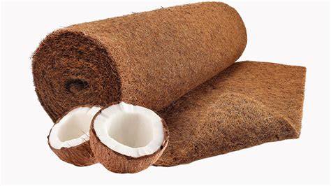 Coir Fiber - an overview | ScienceDirect Topics - raincitystudios.com