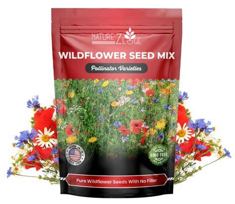 Collecting and Sowing Wildflower Seed - raincitystudios.com