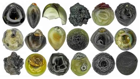 Collecting Micrometeorites - All Science Fair Projects - wintechmobiles.com