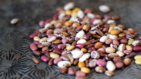 Collecting Rare Plant Seeds - Center for Plant Conservation - raincitystudios.com