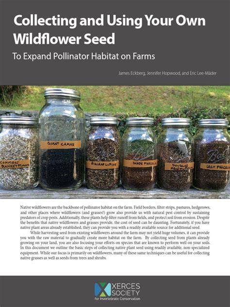 Collecting wildflower seeds - South Lanarkshire Council - raincitystudios.com