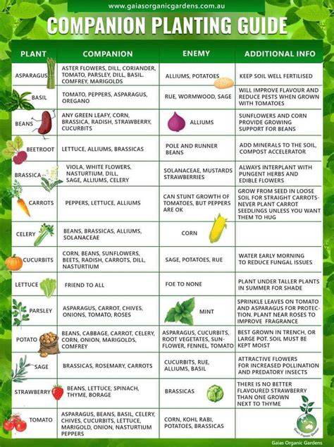 Collection of Companion Planting Charts, Guides, and … - raincitystudios.com