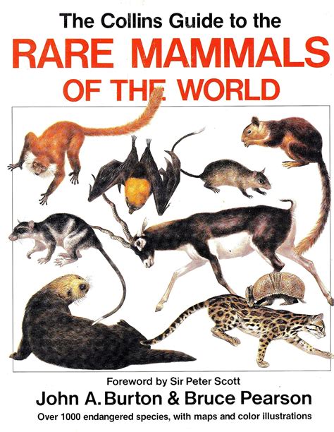 Collins Guide to the Rare Mammals of the WorldJohn A. Burton ... - muktibox.com