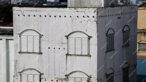 collocalia vestita - elchoricharrua.com