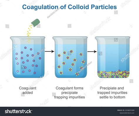 Colloid Chemistry - an overview | ScienceDirect Topics - wintechmobiles.com