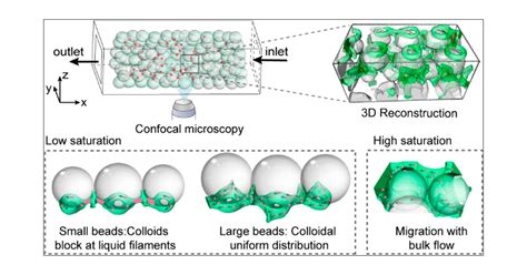 Colloid - 5+ Examples, Types, Functions, … - wintechmobiles.com