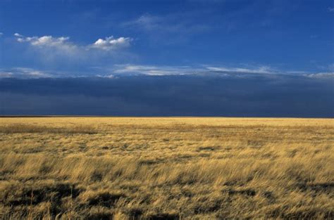 Colorado’s Ecosystems - Colorado Virtual Library - raincitystudios.com